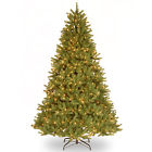 Pegf4-307-75 National Tree Li Bulb 729083753787