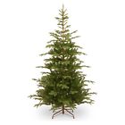 Peng4-500-75 National Tree Company 7.5 729083277757