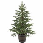 Peng4-700-40p National Tree Company Holiday 0729083277405