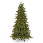 Peno4-307-75 National Tree Company 7.5 729083016769