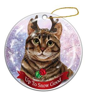 Pet Gifts Usa 811488025511 Holiday Brown Tabby Cat Porcelain Christmas Ornament