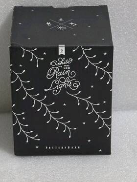 Pottery Barn 656752488100 Christmas Mini Curtain Rain Lights White Led