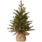 909460p Prod National Tree Company