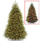 909966p Prod National Tree Company