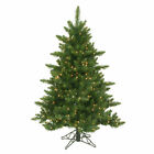 924707p Prod Vickerman Camdon Fir