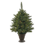 924892p Prod Vickerman Pre-lit Led