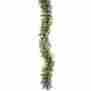 924913p Prod Vickerman Pre-lit Cheyenne Pine Garland
