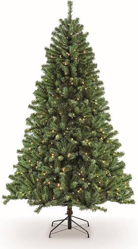 Nfg-65c4 Puleo International Pre-lit 6.5ft Northern Fir Artificial Christmas Tree With 400
