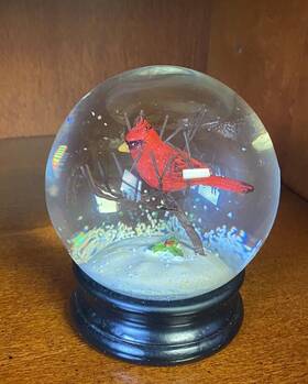 Raz Imports 048893666354 Cardinal Water Glass Snow Globe Winter Christmas Holiday