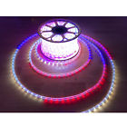 Rbw200 Russell Decor Led Rope Lights White Red Blue 689543250303
