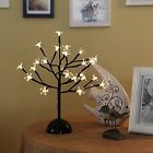 Rl-xt-bct20l Rainleaf 14in Led Table 707242540539