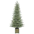 S164270 Vickerman Potted Kendall Fir