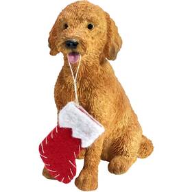 Xso24201 Sandicast 746314017340 Goldendoodle With Stocking Resin Christmas Ornament Multi Color