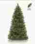 2800891 Silverado Slim Model Balsam Hill 9 Christmas Tree