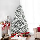 Sky4227 Best Choice Products 6ft