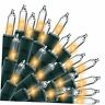 Ss100-2f Golden Vessel Electronic Lighting Inc Sets Counts Clear Green Wire