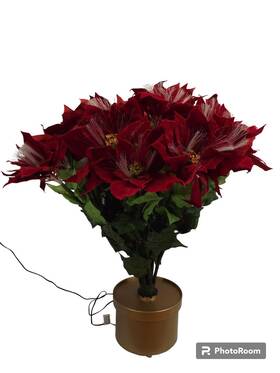 1693-24dl Sterlings Forest Vintage 26 Inch Fiber Optic Poinsettia Plant With Stand Working See Video Christmas