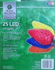 Ty-292-815 Home Accents Multi Color