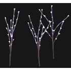 Ty168-1313 Home Accents Holiday Led 0029944474425