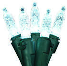 U12e249a Holidaybasix Holiday Basix Light 838466019300