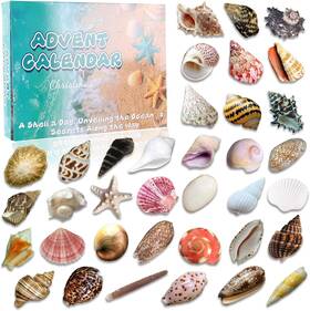 Vervelette 786402808696 Natural Ocean Christmas Advent Calendar 2025 For Kids 24 Days Of Random Shells