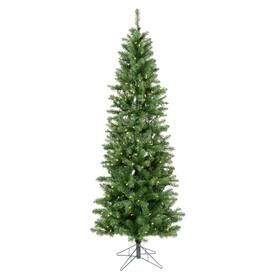 Vickerman 734205183076 5.5ft Salem Pencil Pine Artificial Christmas Tree - Warm White Italian Led Dur