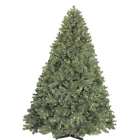 Wl-trsq-06 Christmas At Winterland Green