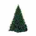 Wl-trsq-09-lww Queens Of Christmas 9 Pre-lit Artificial Sequoia Tree