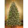 Wl-trsq-15-lww Queens Of Christmas 15 Ft