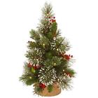 Wp1-345-18-b1 National Tree Company Inch Wintry Pine With Cones 729083210082