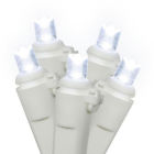 X4w6105pbg Vickerman Cool White 36 734205361351