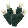 X6g6101  Vickerman Light Wide Angle Led Set Warm White 749757346688
