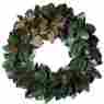 Xgw13494 Sage Co Georgian Holiday Magnolia Leaf Wreath 026259843854