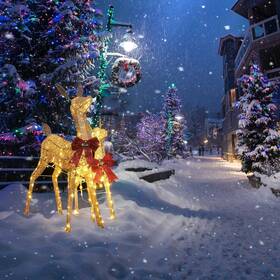 60xma025-deer2-15 Yescom 2 Piece Lighted Christmas Deer Family Set 160 Led Outdoor Yard D Cor