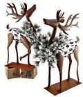 Zr160558 Zaerinternational Christmas Reindeer With Wreath Led Light Sparkle 0880160558166