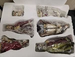 Kurt S. Adler Nativity Set With 6 Figures, W9089 New In Box. S2. Fixed Price $31.35.