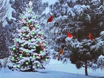 Lighted Christmas Tree & Cardinal Birds Led Canvas Print Snowy Winter -.... Fixed Price $27.02.