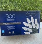 Celebrations 9045580 74.5 Ft. Led C6 Warm White Light Set 300 Count. Fixed Price $31.00.
