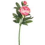Vickerman 24" Contemporary Plastic Artificial Peony Stem Pink (set Of 3). Fixed Price $66.78.