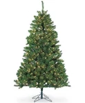 Sterling 7' Dakota Pine Christmas Tree With Clear Lights New Open Box. Fixed Price $169.99.