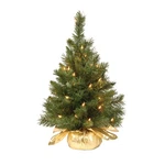2 Ft. Pre-lit Majestic Fir Tree With Clear Lights, Gold Base, Plug-in. Fixed Price $34.99.