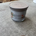 Yankee Candle Woodland Weekend Memories 4.3 Oz Small Jar Scented 1694247. Fixed Price $9.99.
