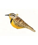 Meadowlark Blown Glass Handcrafted Bird Christmas Ornament Nib Cobane. Fixed Price $21.99.