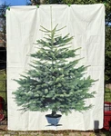 Ikea Christmas Decor Tree Fabric Panel Wall Hanging Lotta Feldt Vinter 2011 Bn. Fixed Price $62.99.