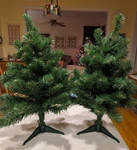 Lot 24" Christmas Tree, Vickerman Imperial Pine, With Stand (2). Fixed Price $30.00.
