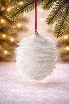 Holiday Lane Northern Lights White Feather Ornament Xmas Tree Winter Decor Snow. Fixed Price $13.99.