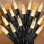 Clear Christmas Lights 50FT 200 Count Incandescent Bulbs Warm White Mini Ligh.... Fixed Price $31.67.