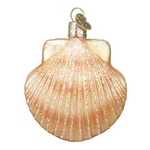 Old World Christmas Scallop Shell (12179) Glass Ornament W/owc Box. Fixed Price $13.59.