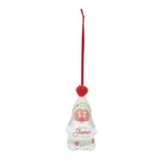 Dept 56 Snowpinions Have Gnomey Christmas Snowgnome Ornament 6009607 2021. Fixed Price $16.90.
