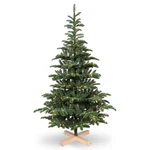 7FT Prelit Christmas Tree Premium Green Spruce Artificial & 400 Led Lights. Fixed Price $151.67.